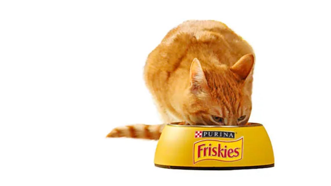 Friskies Cat Active