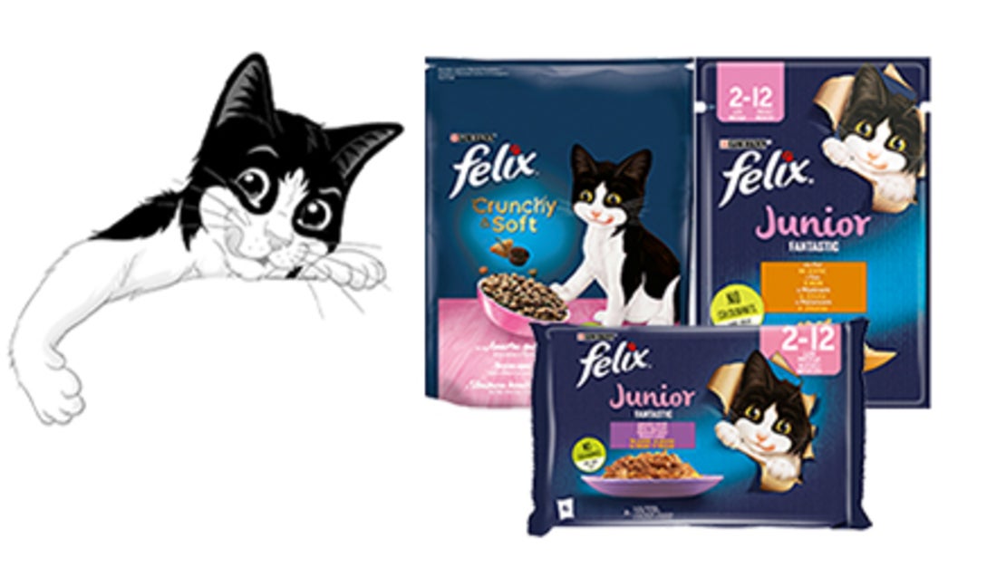 felix junior hrana za mačke