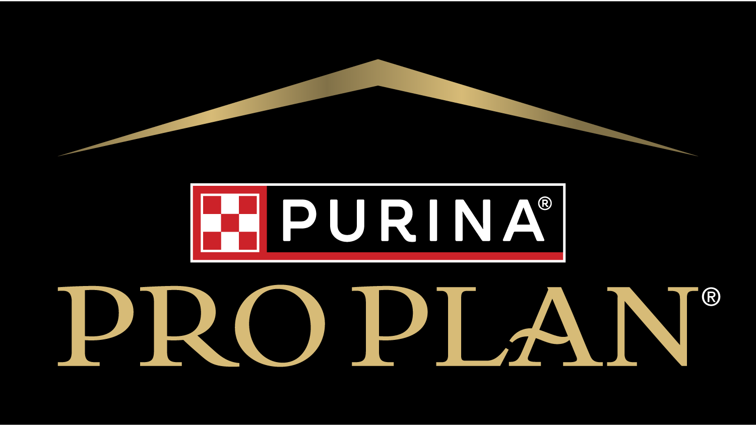 Logotip Pro Plan