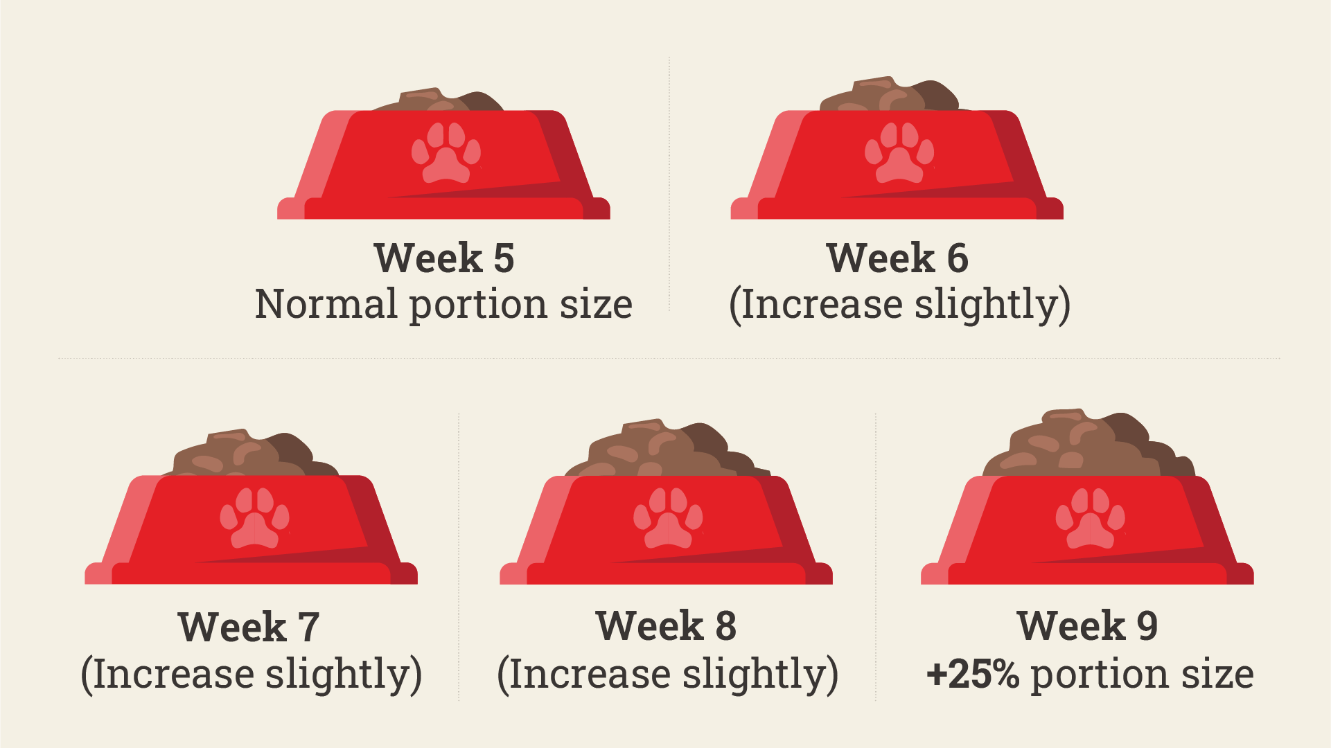 infografika hranjenja breje psičke