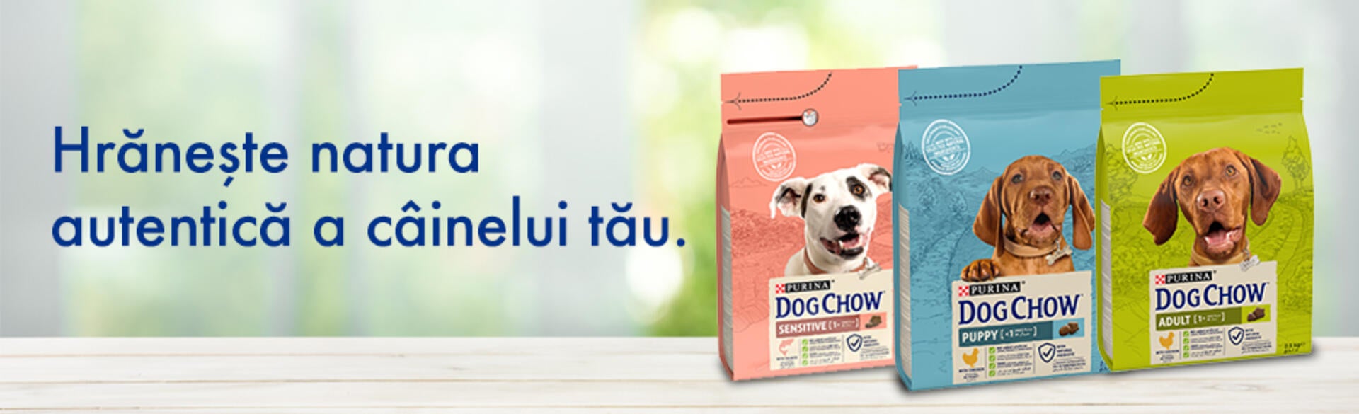 Dog Chow® 