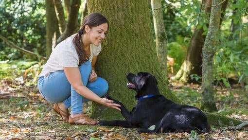 Ženska je čepela s psom blizu drevesa