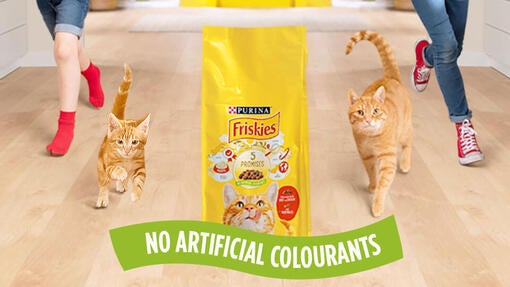 Friskies hrana za mačke