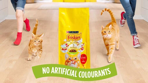 Friskies Hrana za mačke