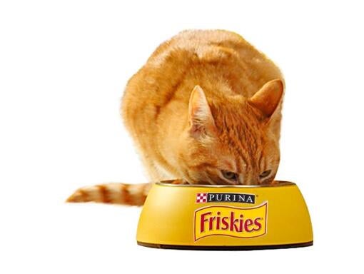 Friskies macka Adult