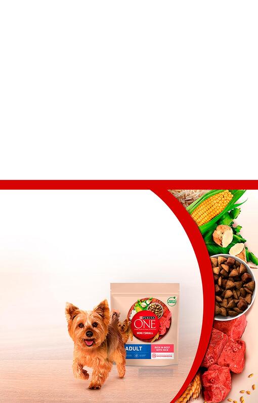 Discover Purina ONE®