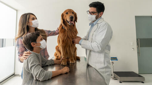 Družina s psom pri veterinarjih